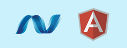 ASP.NET MVC with AngularJS Development